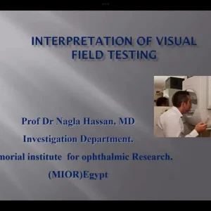Visual field